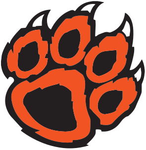 Verona Football